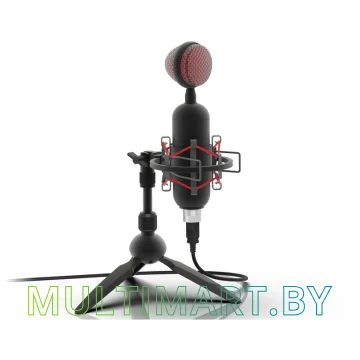 Микрофон Ritmix RDM-230 USB Eloquence